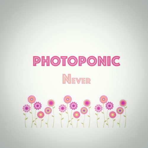 Photoponic - Never
