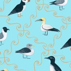 Two Seas - Seabirds (cover)