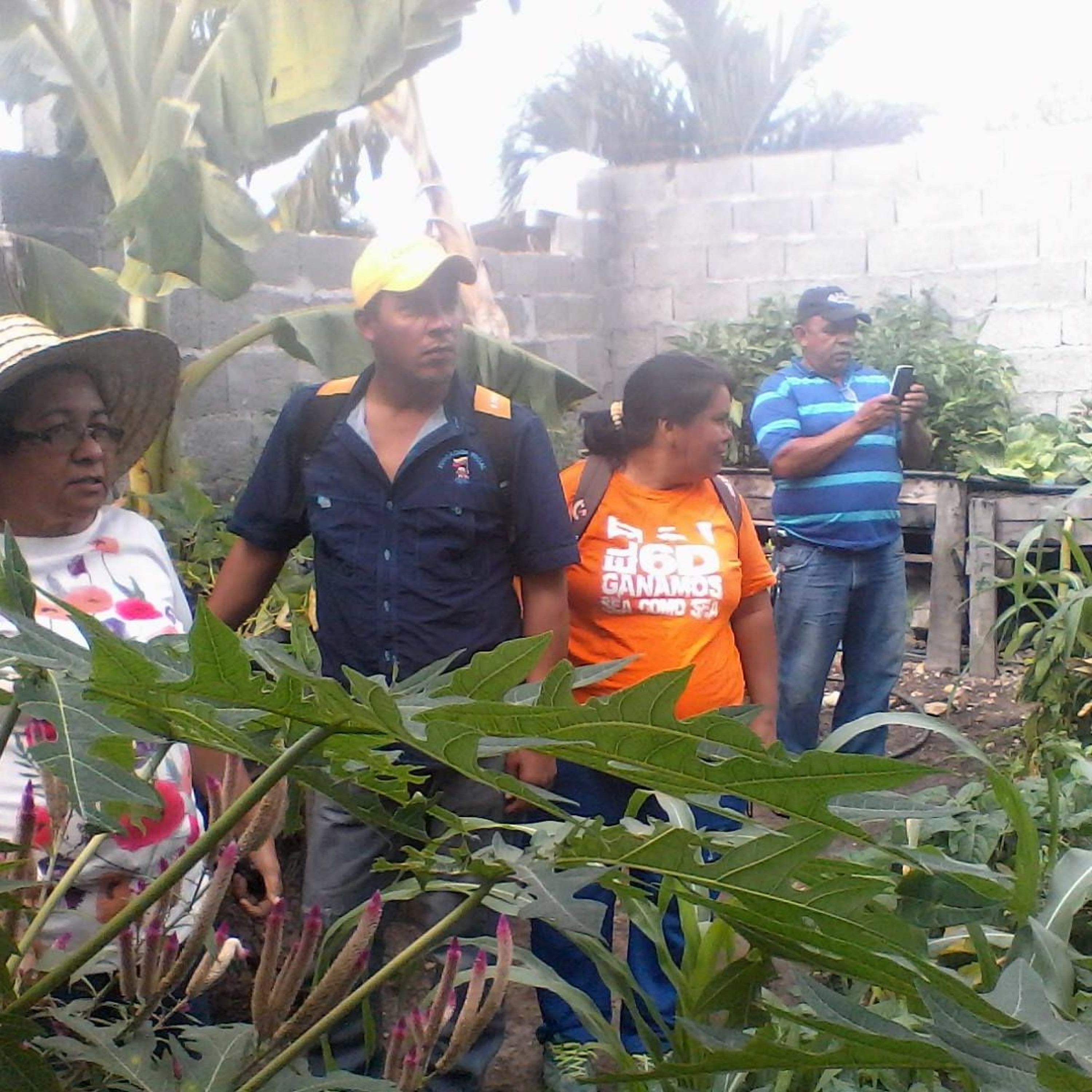 Alcides Corrales Dum
