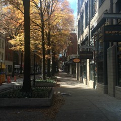 Drunk -Ed Sheeran (Ukulele Cover)