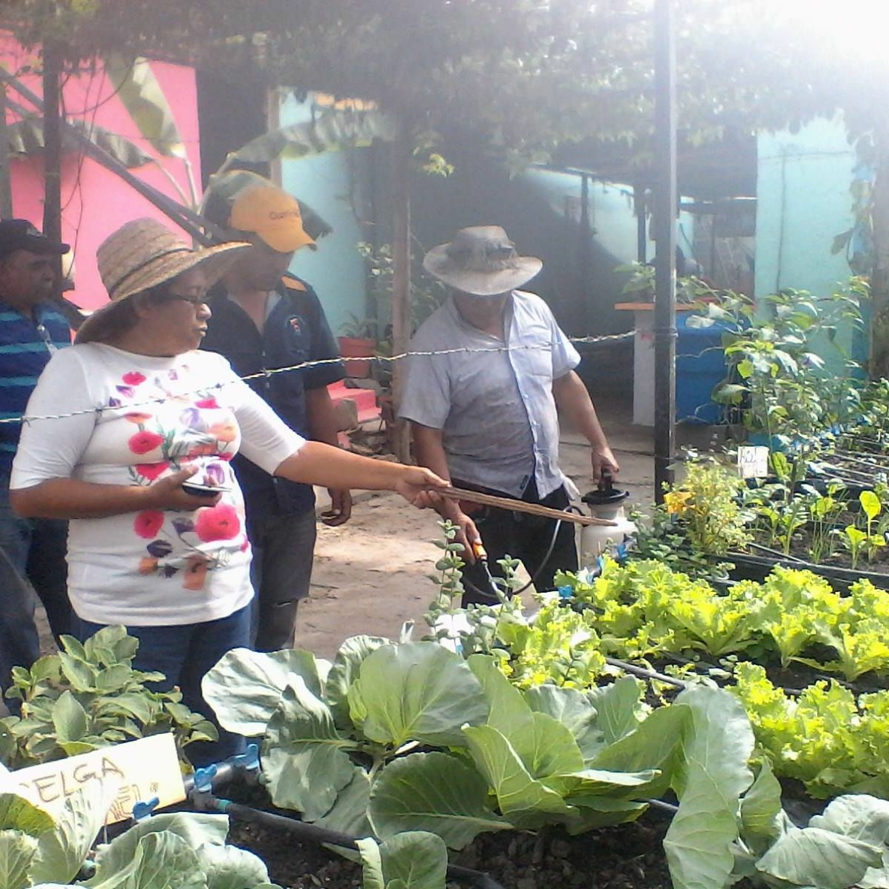 Alcides Corrales Dum