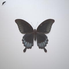 Christian Löffler - All Comes Feat. Gry