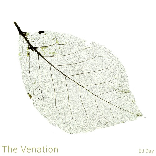 The Venation - End Credits (Extended)