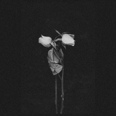 somehowArt - Throw Your Roses