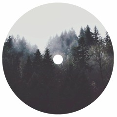 SKEPT - SUBSOLARY