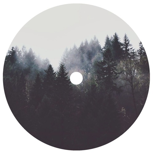 SKEPT - SUBSOLARY