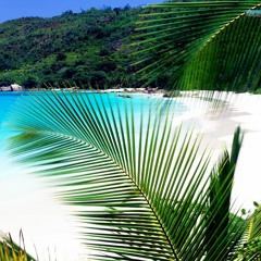 One Sunny Day ©