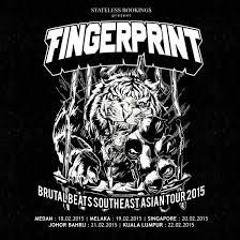 Fingerprint - Distorsi