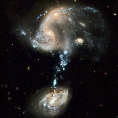 W.H.Y. FINAL. ~AP$(prod. roca beats.)