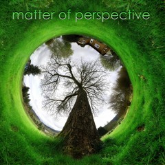 Matter of Perspective