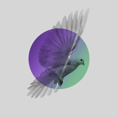 Prides - I Should Know You Better (Alan Ruddick Rework)