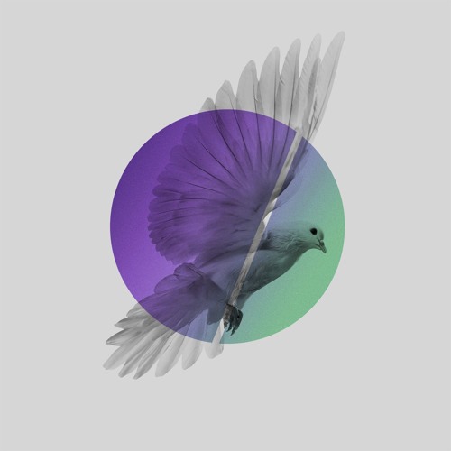 Prides - I Should Know You Better (Alan Ruddick Rework)