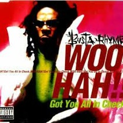 Busta Rhymes - Woo Hah! Got You All In Check (Samantikus Remix)