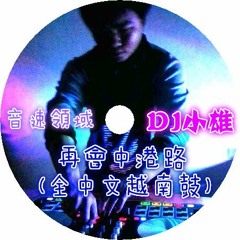 音速領域 - 再會中港路(全中文越南鼓)DJ小雄ReMix