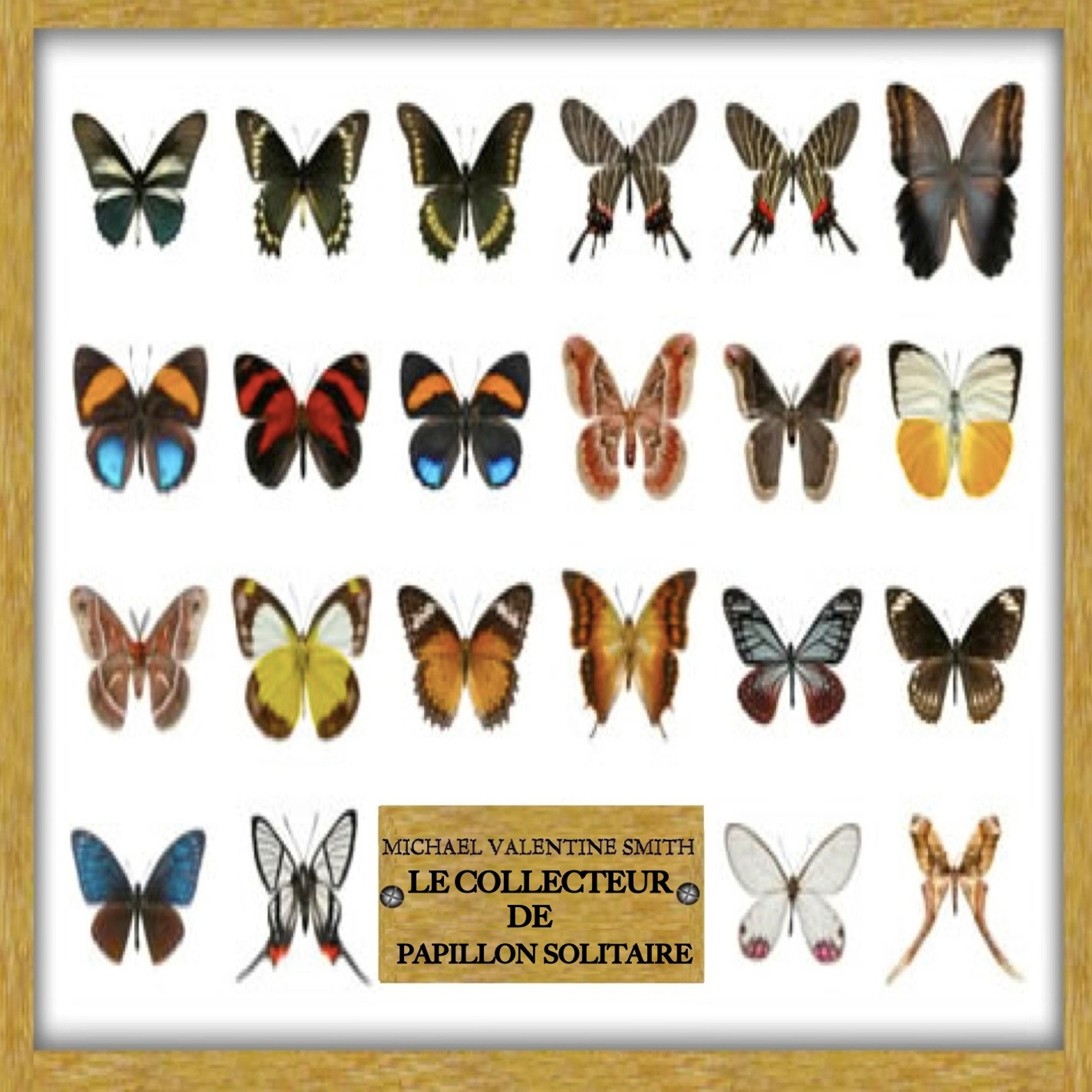 MICHAEL VALENTINE SMITH - LE COLLECTEUR DE PAPILLON SOLITAIRE episode artwork