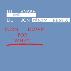 Turn Down For What (Remix)Free Download