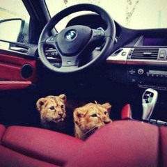 $PG$ 'freestyle @Akon-loney