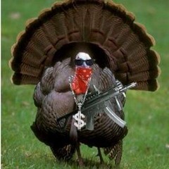 Turkey Dinner
