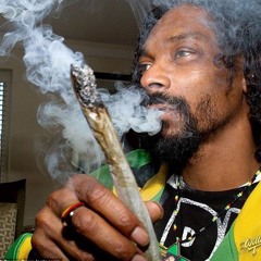 Snoop Dogg I Get High ReMix