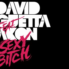 130.David Guetta Feat. Akon - Sexy Bitch - [Private Junior Segovia]