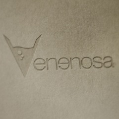 VENENOSA - RASA YANG SALAH New