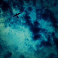 cougars belong in bars, not the mountains.