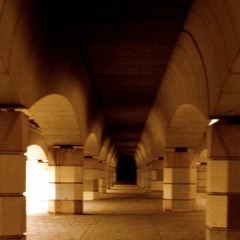 Depth Perception