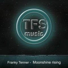 Franky Tenner - Moonshine Rising (Instrumental Ambient Chillout)