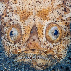 techno mixes added 2016