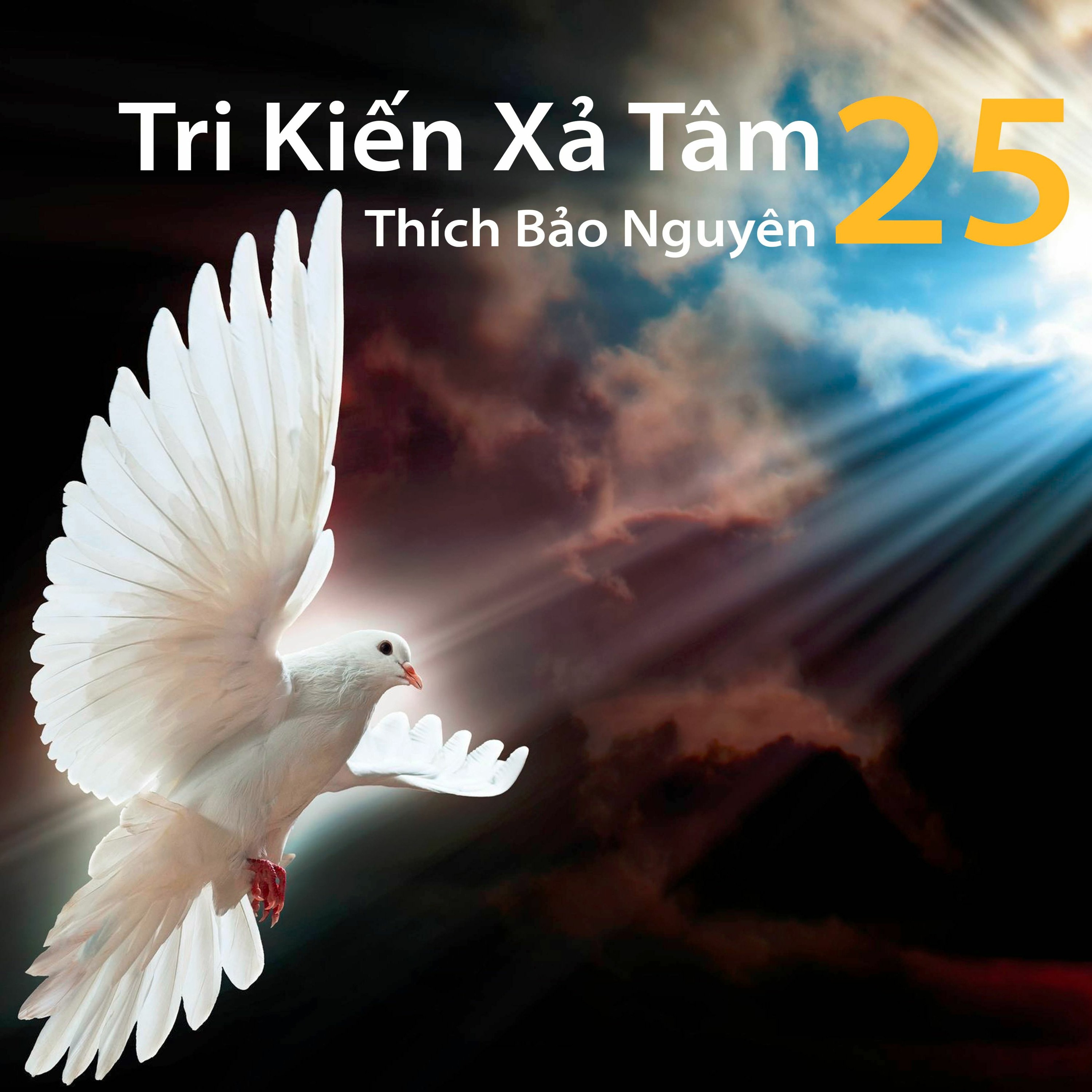 Thích Bảo Nguyên