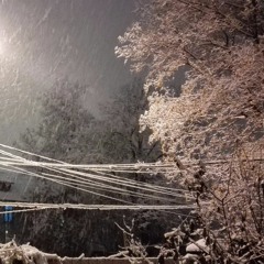 愛人