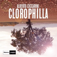 Alberto Ciccarini - Clorophilla (Radio Edit)