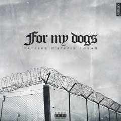 For My Dogs Tayf3rd Ft $tupid Young