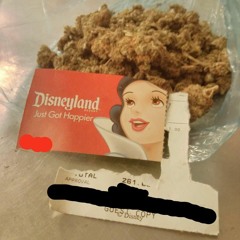 Disneyland Pass (prod. by Hungryman)