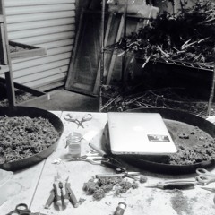 Trays Full (Seems To Reason ReFiks)