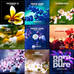 Enormous Tunes 7 (Continuous DJ Mix By William Forest)