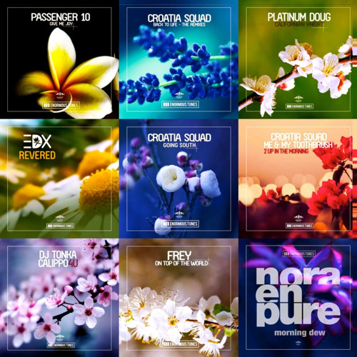 Enormous Tunes 7 (Continuous DJ Mix By William Forest)