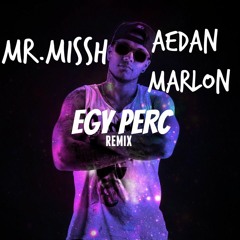 MR.MISSH - EGY PERC (AEDAN MARLON REMIX)