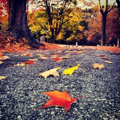 FALL (Prod. Evan Wayne)