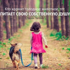 Цитата о животных