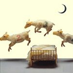 La Révolution du Sommeil