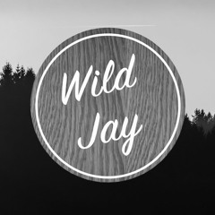 House Remix Deephouse ProgressiveHouse