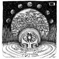 Bedian - Resonnance of the Dark Matter EP