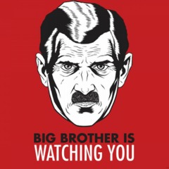 1984, Big Brother & Manuel Valls
