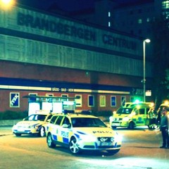 Brandbergen ft. MC Brownish