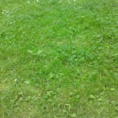 Redlight Boogie feat. Sean Price - Heat Rock