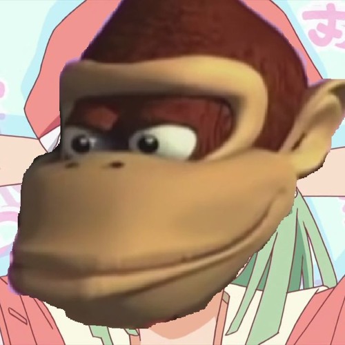 KONG CIRCULATION