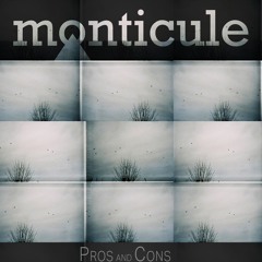Pros & Cons - Monticule