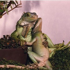 Everybody In The Club Getting Shot - Remix