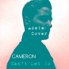 Can't Let Go - Cover